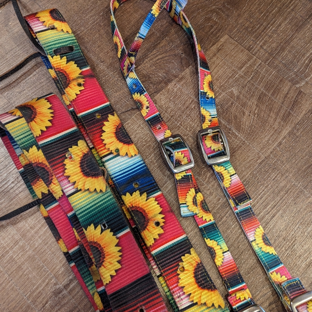 Headstall set
